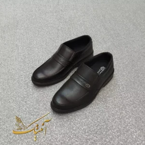 طبی مردانه پاسارگاد مدل 920